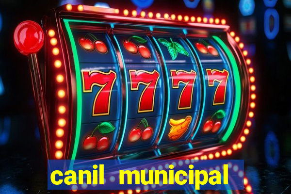 canil municipal porto alegre